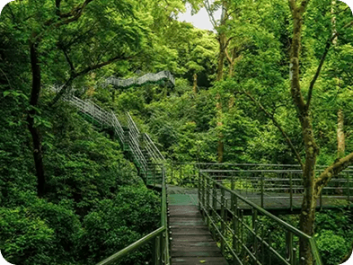 Thenmala Forest Trails