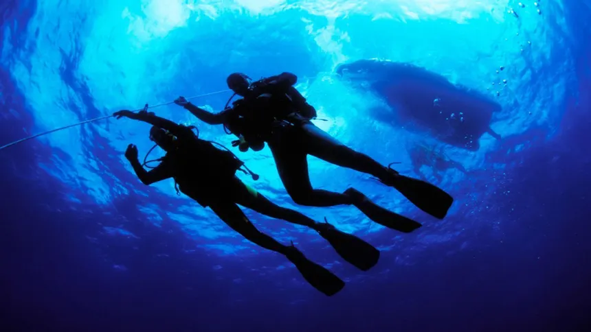 Scuba Diving Discovery